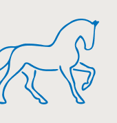 kachelnavi supplemente bewegungsapparat